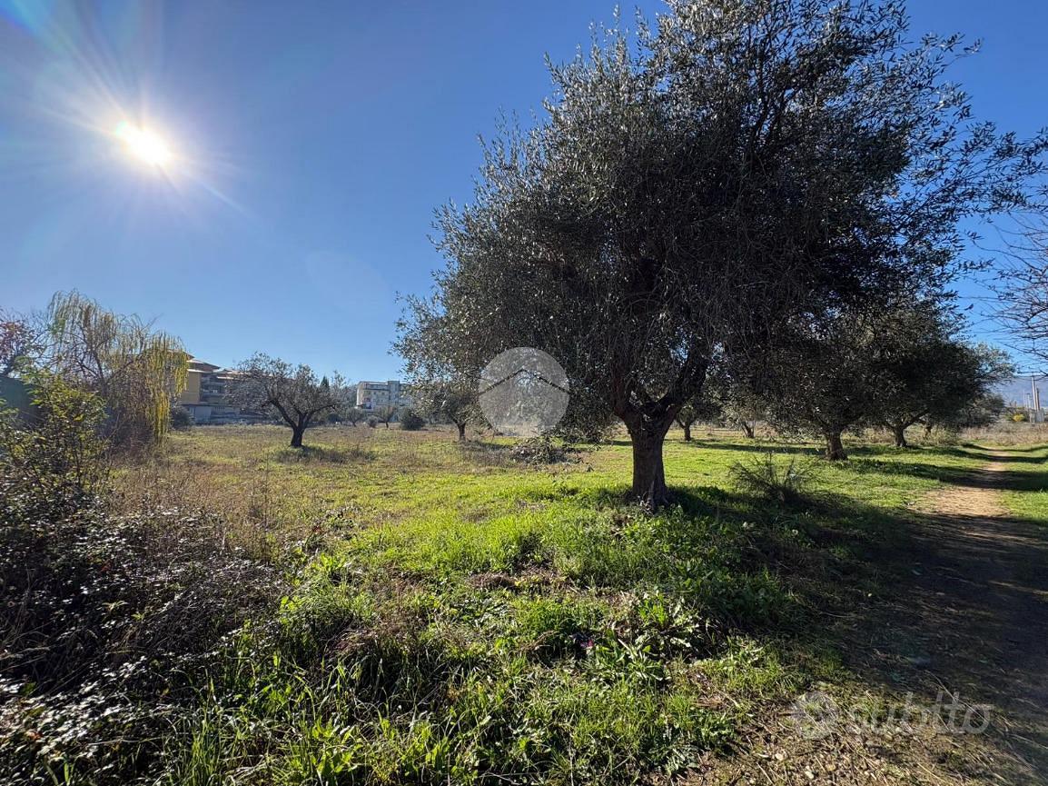 TER. RESIDENZIALE A MONTALTO UFFUGO - Vista 6