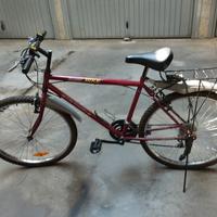 bici Mountain bike uomo