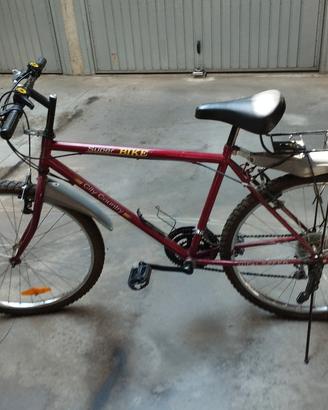 bici Mountain bike uomo
