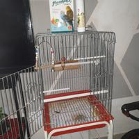 gabbia grande per uccelli