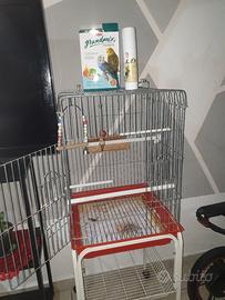 gabbia grande per uccelli