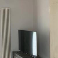 Mobile Televisione