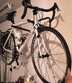 Bici da corsa Wilier Triestina