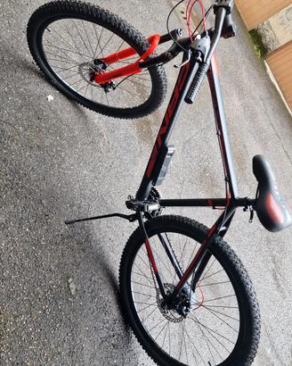 Carnelli 1000