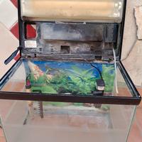 acquario 30x40