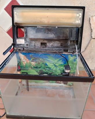 acquario 30x40