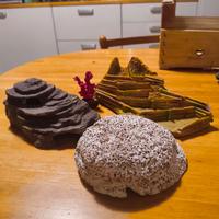 Decorazioni e retini per acquario