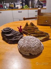 Decorazioni e retini per acquario