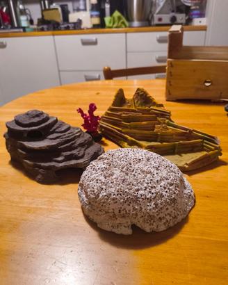 Decorazioni e retini per acquario