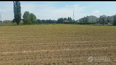 terreno agricolo 
