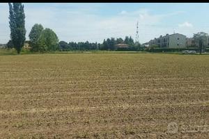 terreno agricolo 
