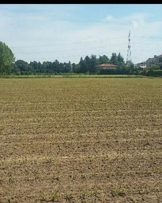 terreno agricolo 