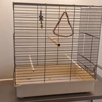 grande gabbia voliera esotici pappagalli