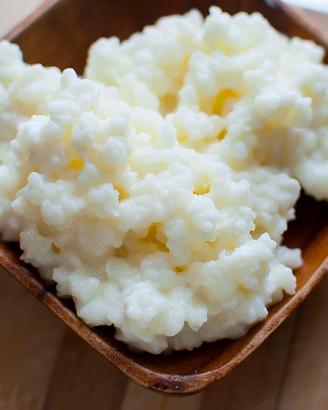 Grani di Kefir attivi