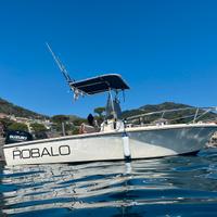 Robalo 181 amf