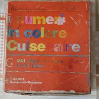 I numeri in colore Cuisenaire (listelli in legno)