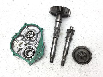 APRILIA LEONARDO 150 CARTER E INGRANAGGI RUOTA POS