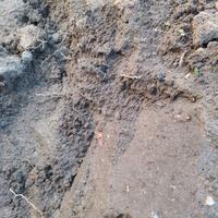 Terra da scavo pulita