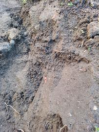 Terra da scavo pulita