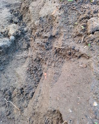 Terra da scavo pulita