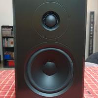 Casse attive Dynaudio Xeo 10