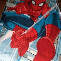 Plaid Spiderman