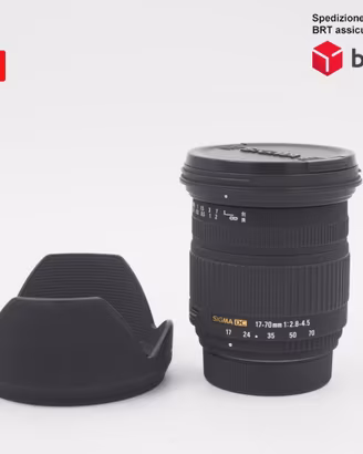 Sigma 17-70 F2.8-4.5 DC Macro (Nikon)