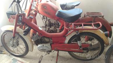 C. RIZZATO-CALIFFO 1969