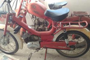 C. RIZZATO-CALIFFO 1969