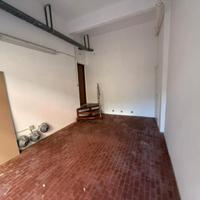 Pineta sacchetti - laboratorio