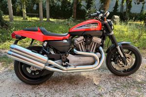 Harley Davidson sportsters 1200 xr