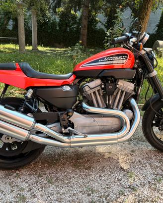 Harley Davidson sportsters 1200 xr