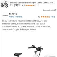 Bicicletta elettrica