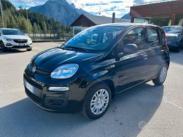Fiat Panda 1.0 FireFly S&S Hybrid Pandina