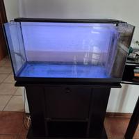  acquario con mobiletto
