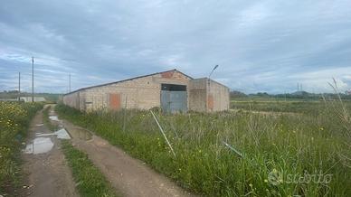 Ampia proprietà con capannone e terreno