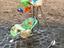 Immagine 2