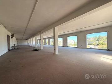 Capannone con Piazzale in Zona Strategica