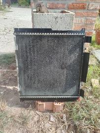 radiatore Mercedes 200 