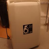 Condizionatore pinguino DeLonghi