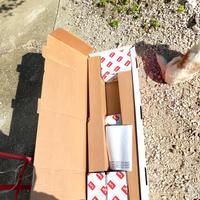 BFT KIT PHOBOS AC A motore cancello elettrico 