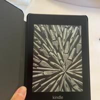 Kindle Paperwhite