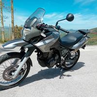 Aprilia Pegaso 650 - 2006