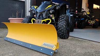 quad TGB TARGET 600 EPS lavori invernali