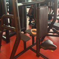 Lento dietro technogym