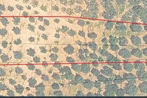 Terreno Agricolo a Montelibretti zona Valle Lupara