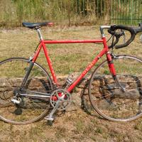 Bicicletta da corsa vintage olmo