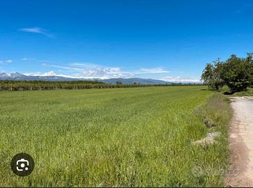 Terreno agricolo Carrú