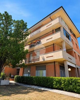 4 LOCALI A POTENZA PICENA
