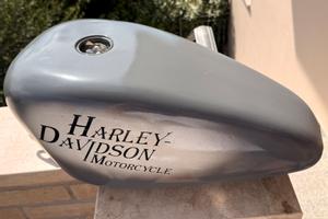 Serbatoio + parafanghi Harley Davidson Sportster